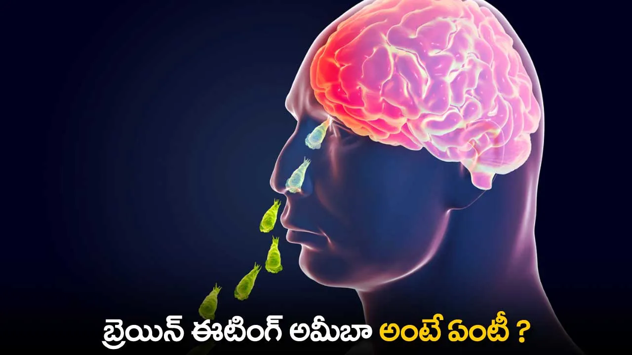 Brain Eating Amoeba : బ్రెయిన్ ఈటింగ్ అమీబా  అంటే ఏంటీ ? Brain Eating Amoeba : బ్రెయిన్ ఈటింగ్ అమీబా  అంటే ఏంటీ ?