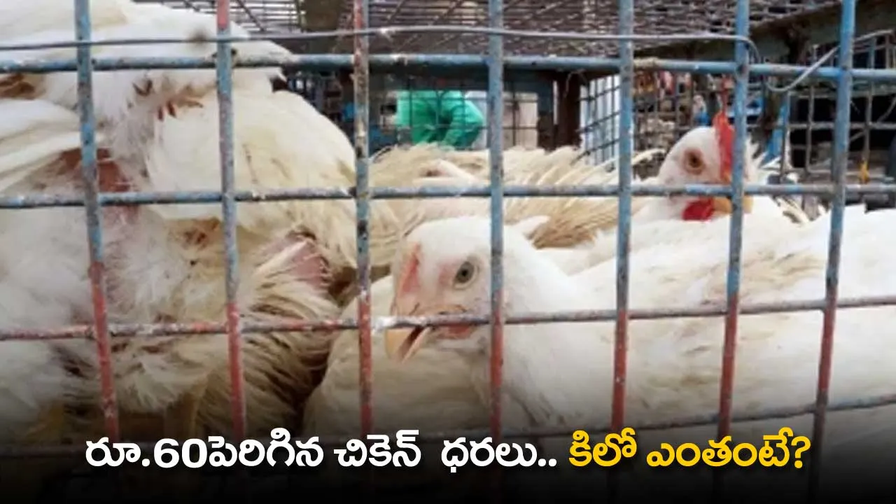 Chicken Prices : రూ.60పెరిగిన చికెన్  ధరలు.. కిలో ఎంతంటే? Chicken Prices : రూ.60పెరిగిన చికెన్  ధరలు.. కిలో ఎంతంటే?