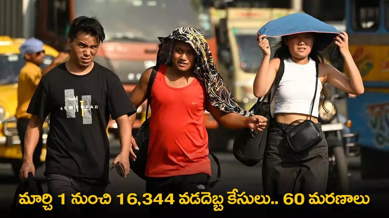 Heatwave Cases : మార్చి 1 నుంచి 16,344 వడదెబ్బ కేసులు.. 60 మరణాలు