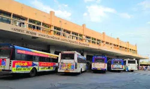 Vijayawada: విజయవాడను బెంబేలెత్తిస్తున్న ఎలకలు Vijayawada: విజయవాడను బెంబేలెత్తిస్తున్న ఎలకలు