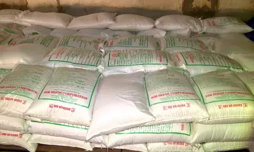 Mahbubnagar జనుము, జీలుగు విత్తనాల కోసం  అన్నదాత  ఎదురుచూపులు