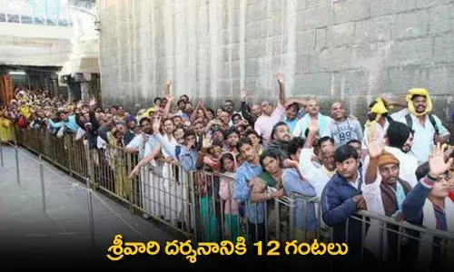 TTD : శ్రీవారి దర్శనానికి 12 గంటలు TTD : శ్రీవారి దర్శనానికి 12 గంటలు