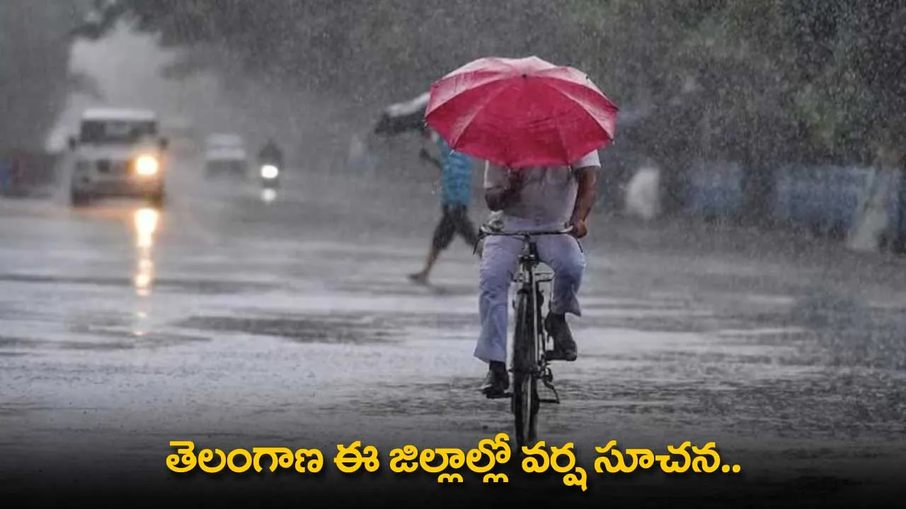 TS : తెలంగాణ ఈ జిల్లాల్లో వర్ష సూచన.. ఆ తర్వాత ఎండలే! TS : తెలంగాణ ఈ జిల్లాల్లో వర్ష సూచన.. ఆ తర్వాత ఎండలే!