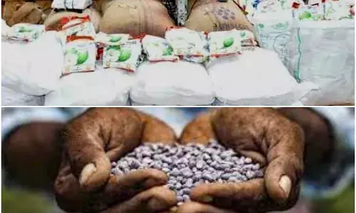 Fake Seeds: నకిలీ విత్తనాలు అరికట్టేందుకు టాస్క్‌ఫోర్స్‌ బృందాలు
