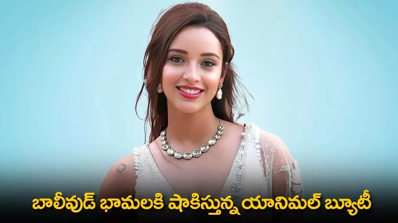 Tripti Dimri : బాలీవుడ్ భామలకి షాకిస్తున్న యానిమల్ బ్యూటీ Tripti Dimri : బాలీవుడ్ భామలకి షాకిస్తున్న యానిమల్ బ్యూటీ