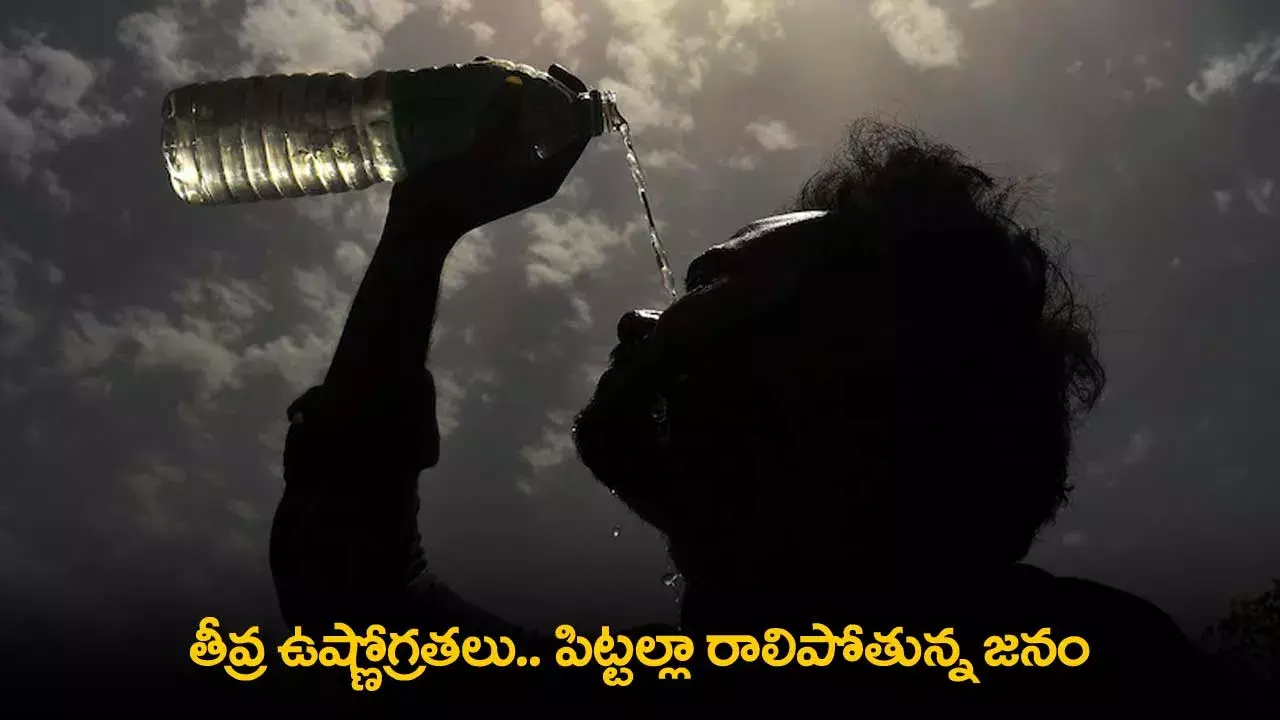 Intense Heatwave : తీవ్ర ఉష్ణోగ్రతలు.. పిట్టల్లా రాలిపోతున్న జనం Intense Heatwave : తీవ్ర ఉష్ణోగ్రతలు.. పిట్టల్లా రాలిపోతున్న జనం