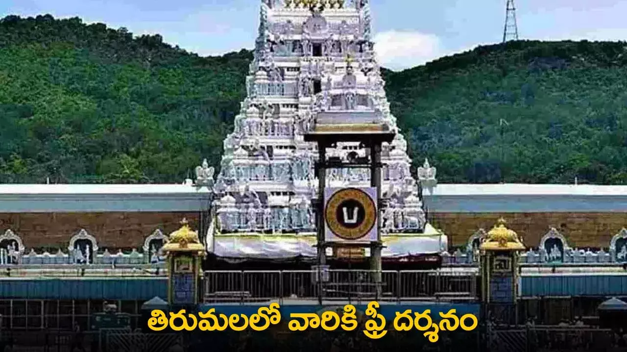 TTD : తిరుమలలో వారికి ఫ్రీ దర్శనం TTD : తిరుమలలో వారికి ఫ్రీ దర్శనం