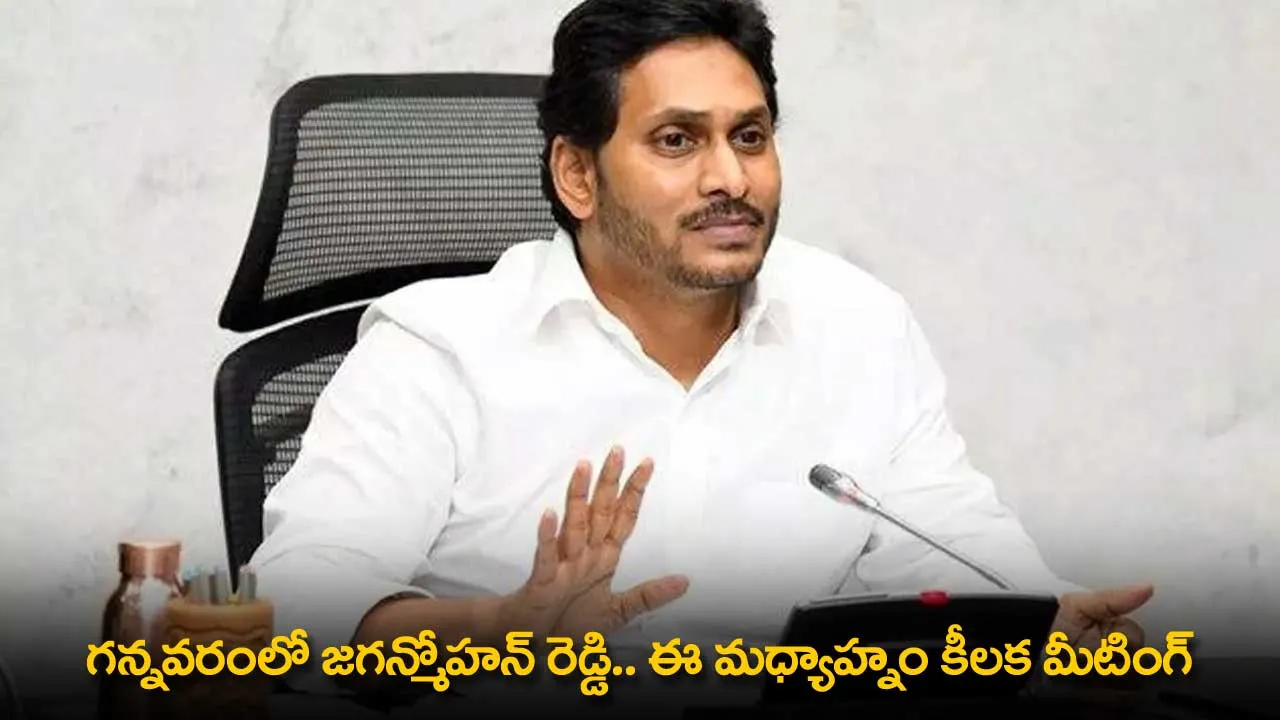 AP : గన్నవరంలో జగన్మోహన్ రెడ్డి.. ఈ మధ్యాహ్నం కీలక మీటింగ్ AP : గన్నవరంలో జగన్మోహన్ రెడ్డి.. ఈ మధ్యాహ్నం కీలక మీటింగ్