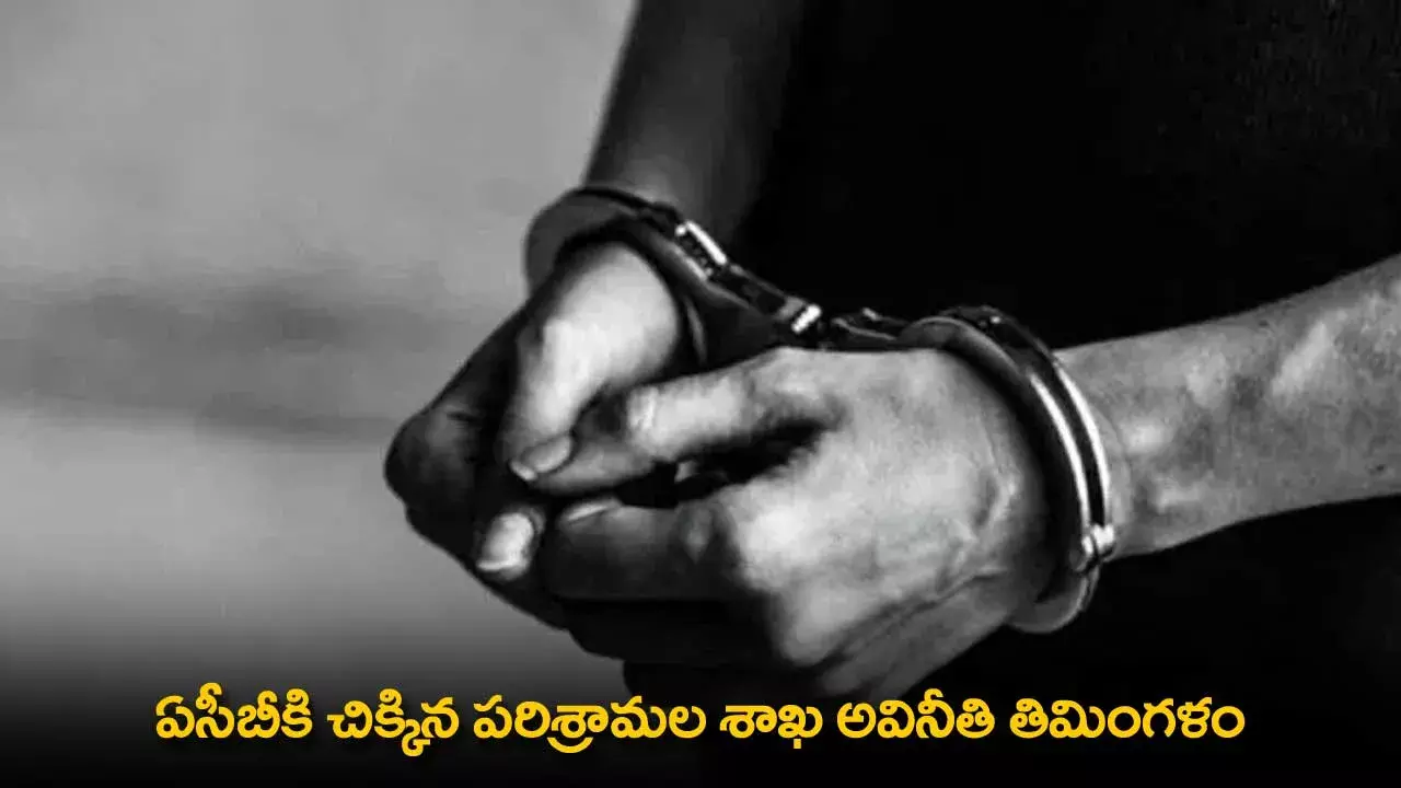 TS : ఏసీబీకి చిక్కిన పరిశ్రామల శాఖ అవినీతి తిమింగళం TS : ఏసీబీకి చిక్కిన పరిశ్రామల శాఖ అవినీతి తిమింగళం
