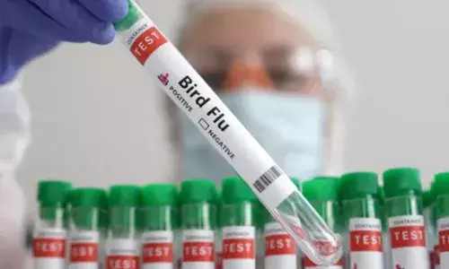 Bird flu death: ప్రపంచంలో బర్డ్ ఫ్లూతో తొలి మృతి నమోదు.. Bird flu death: ప్రపంచంలో బర్డ్ ఫ్లూతో తొలి మృతి నమోదు..