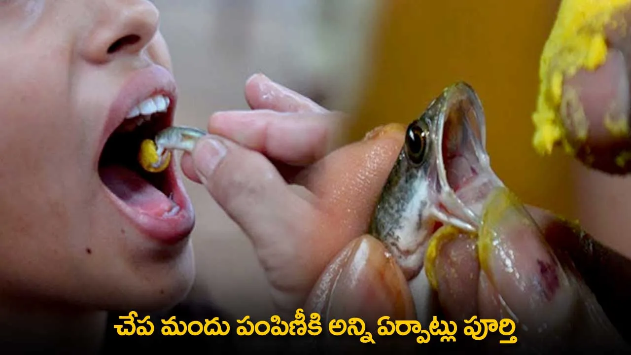 Fish Medicine : చేప మందు పంపిణీకి అన్ని ఏర్పాట్లు పూర్తి Fish Medicine : చేప మందు పంపిణీకి అన్ని ఏర్పాట్లు పూర్తి