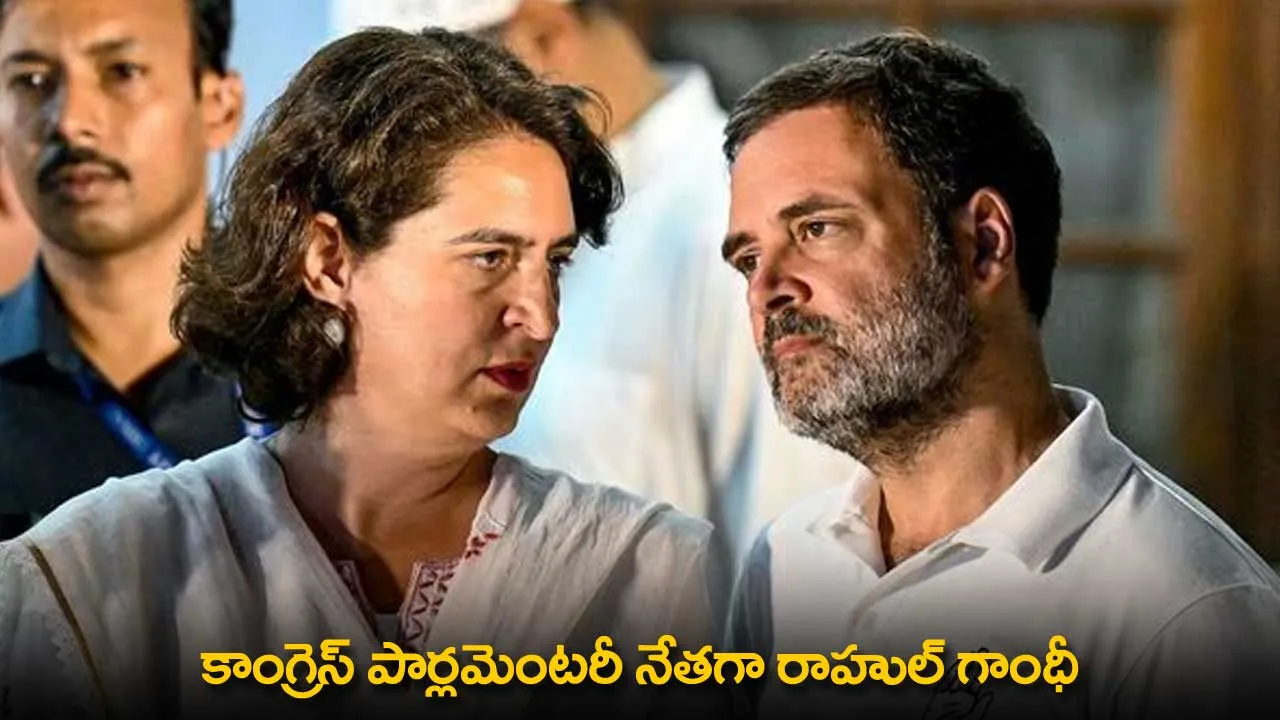 Congress : కాంగ్రెస్ పార్లమెంటరీ నేతగా రాహుల్ గాంధీ Congress : కాంగ్రెస్ పార్లమెంటరీ నేతగా రాహుల్ గాంధీ