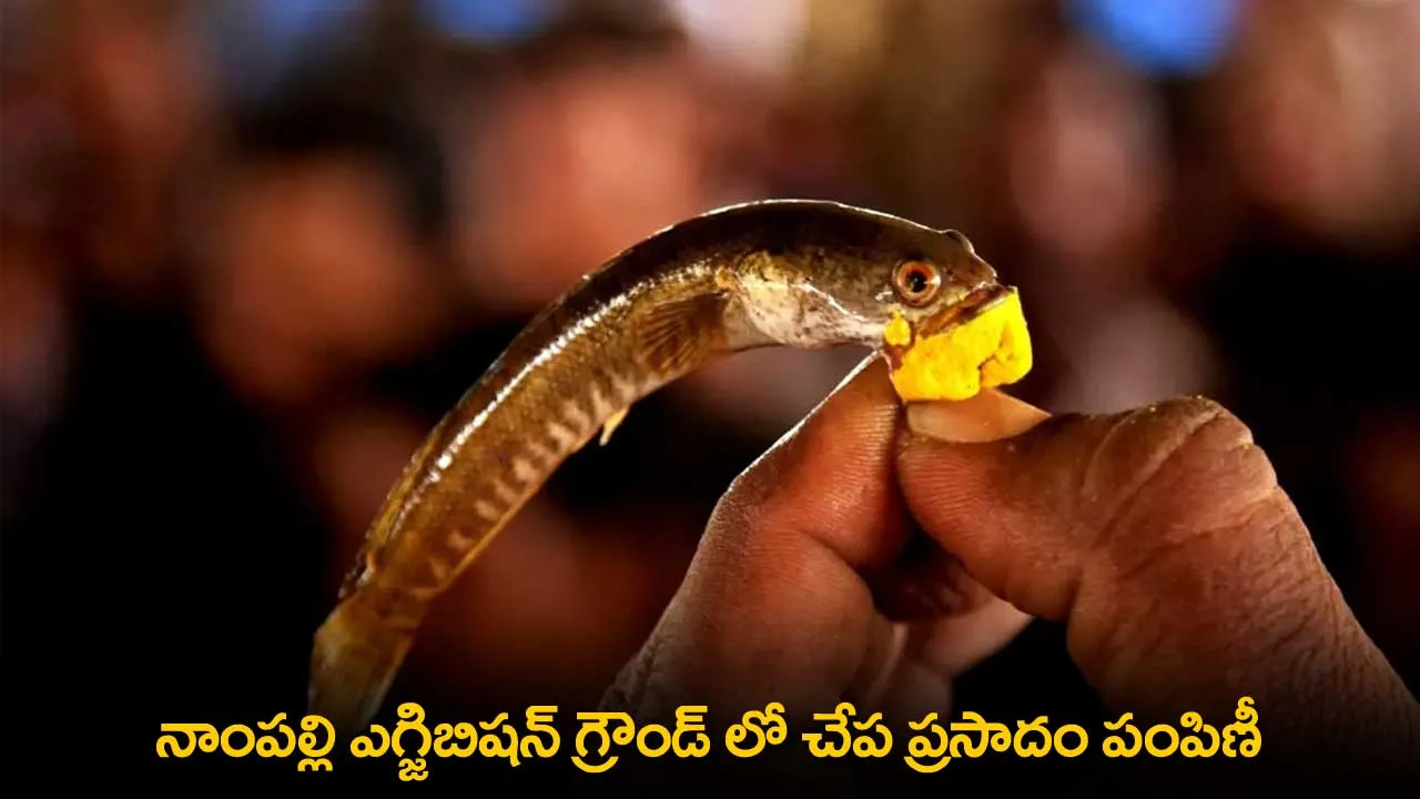 Fish Prasadam : నాంపల్లి ఎగ్జిబిషన్ గ్రౌండ్ లో చేప ప్రసాదం పంపిణీ Fish Prasadam : నాంపల్లి ఎగ్జిబిషన్ గ్రౌండ్ లో చేప ప్రసాదం పంపిణీ
