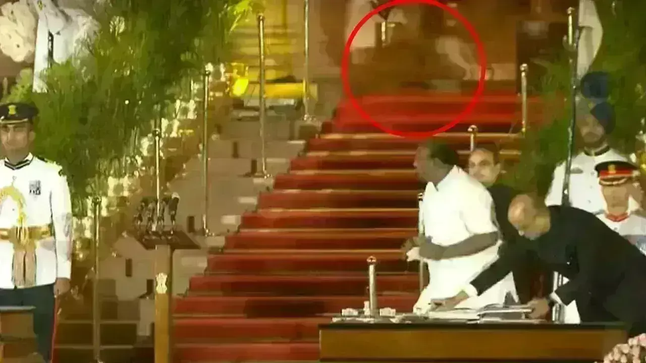 Viral Video: రాష్ట్రపతి భవన్లో కనిపించింది పులి కాదు పిల్లి Viral Video: రాష్ట్రపతి భవన్లో కనిపించింది పులి కాదు పిల్లి