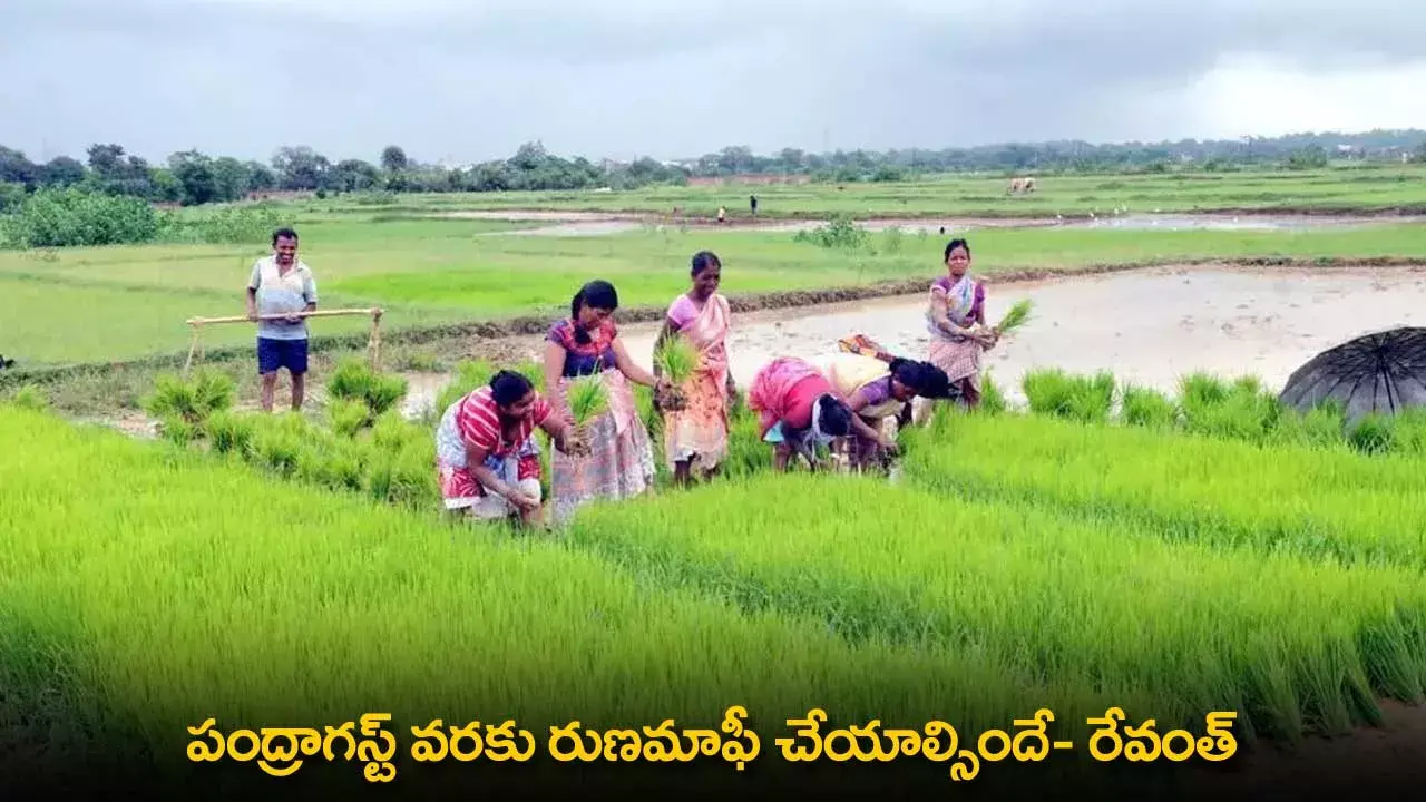 TG : పంద్రాగస్ట్ వరకు రుణమాఫీ చేయాల్సిందే- రేవంత్ TG : పంద్రాగస్ట్ వరకు రుణమాఫీ చేయాల్సిందే- రేవంత్