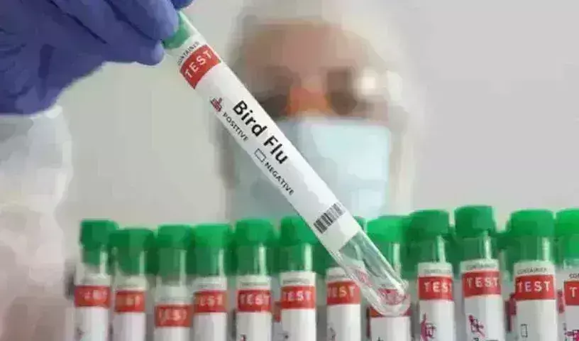 Bird Flu : పశ్చిమ బెంగాల్లో నాలుగేళ్ల చిన్నారికి బర్డ్ ఫ్లూ.. Bird Flu : పశ్చిమ బెంగాల్లో నాలుగేళ్ల చిన్నారికి బర్డ్ ఫ్లూ..