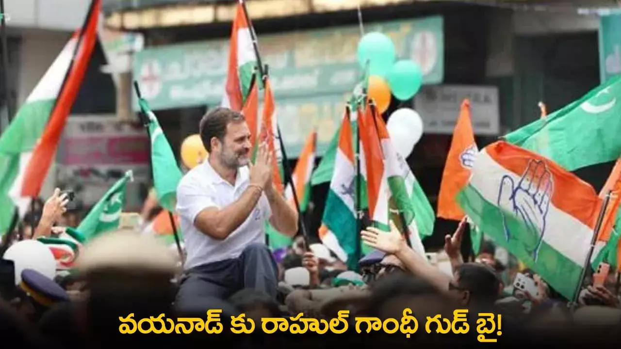 Rahul Gandhi : వయనాడ్ కు రాహుల్ గాంధీ గుడ్ బై! Rahul Gandhi : వయనాడ్ కు రాహుల్ గాంధీ గుడ్ బై!