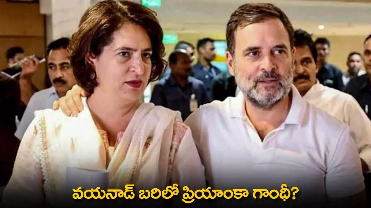 Priyanka Gandhi : వయనాడ్ బరిలో ప్రియాంకా గాంధీ? Priyanka Gandhi : వయనాడ్ బరిలో ప్రియాంకా గాంధీ?