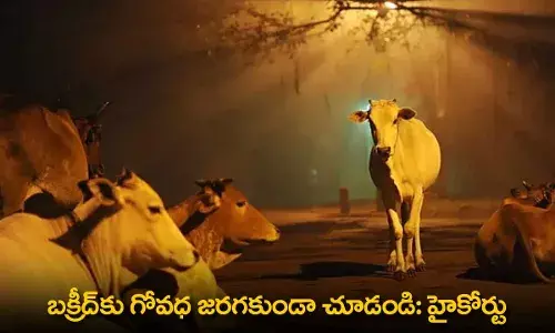 TG : బక్రీద్‌కు గోవధ జరగకుండా చూడండి: హైకోర్టు