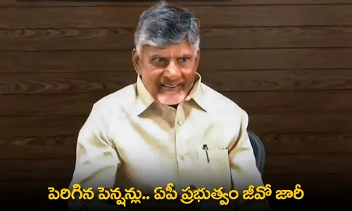 AP : పెరిగిన పెన్షన్లు.. ఏపీ ప్రభుత్వం జీవో జారీ AP : పెరిగిన పెన్షన్లు.. ఏపీ ప్రభుత్వం జీవో జారీ