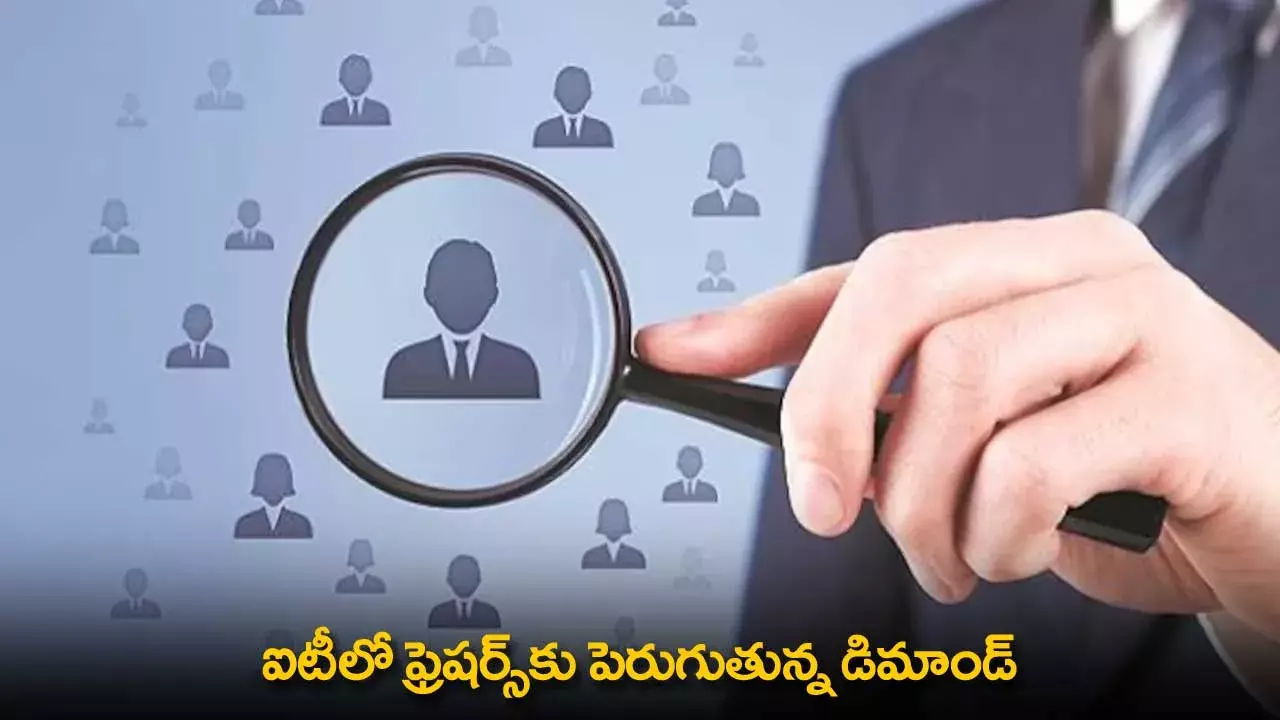 IT Sector : ఐటీలో ఫ్రెషర్స్కు పెరుగుతున్న డిమాండ్ IT Sector : ఐటీలో ఫ్రెషర్స్కు పెరుగుతున్న డిమాండ్