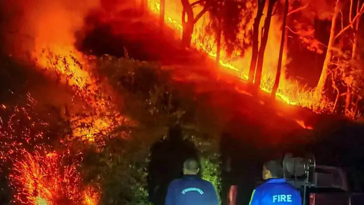 Forest Fire : ఉత్తరాఖండ్లో కాలుతున్న అడవులు Forest Fire : ఉత్తరాఖండ్లో కాలుతున్న అడవులు