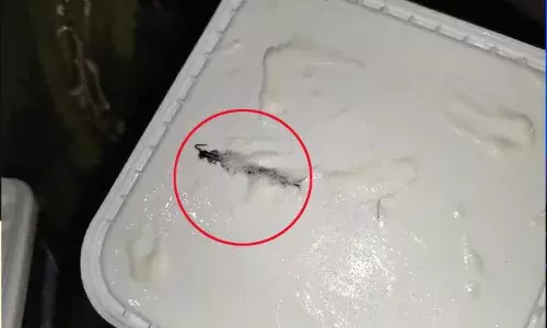 అమూల్ ఐస్‌క్రీం టబ్‌లో కీటకం.. కస్టమర్ షాక్