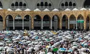 Hajj Pilgrims: హజ్‌ యాత్రలో 550 మంది యాత్రికులు మృతి