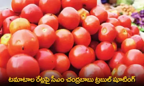 AP : టమాటాల రేట్లపై సీఎం చంద్రబాబు ట్రబుల్ షూటింగ్ AP : టమాటాల రేట్లపై సీఎం చంద్రబాబు ట్రబుల్ షూటింగ్