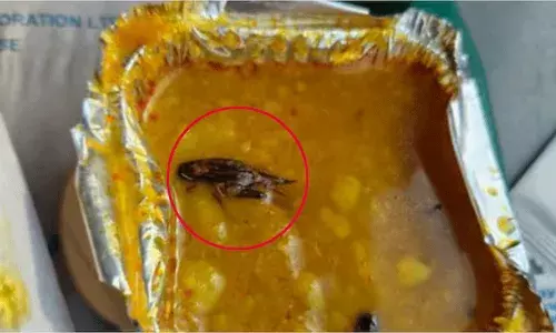 బాబోయ్ బయటి భోజనం.. వందే భారత్ ఆహారంలో బొద్దింక