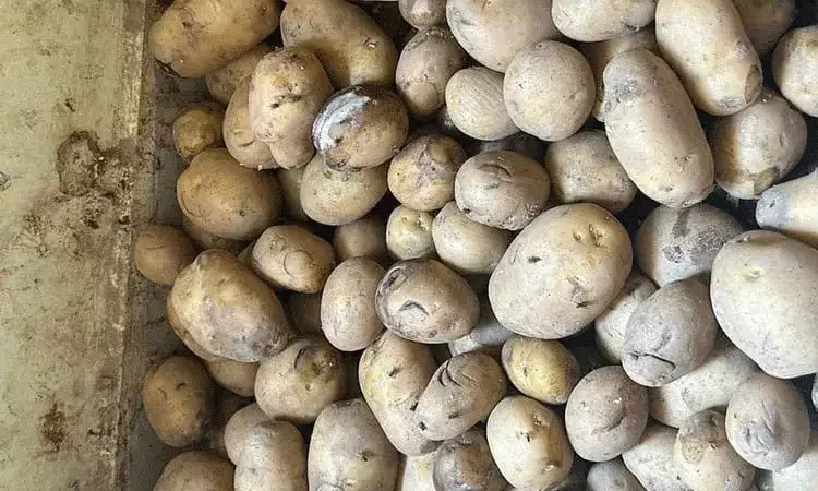 హైదరాబాద్ హాస్టళ్లు.. కుళ్లిపోయిన కూరగాయలతో వంటలు హైదరాబాద్ హాస్టళ్లు.. కుళ్లిపోయిన కూరగాయలతో వంటలు