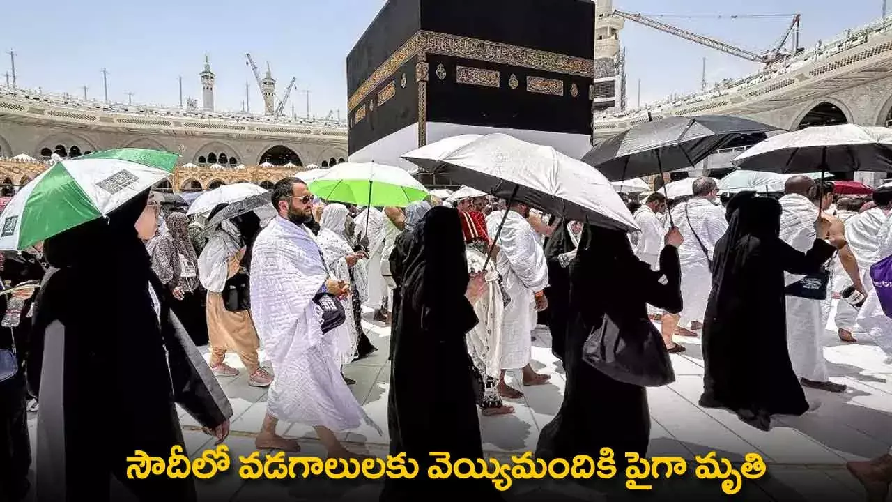 Saudi Arabia : సౌదీలో వడగాలులకు వెయ్యిమందికి పైగా మృతి