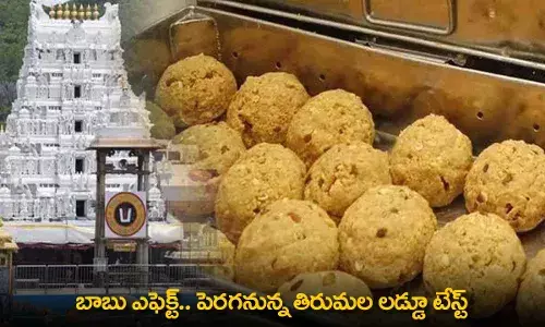 TTD : బాబు ఎఫెక్ట్.. పెరగనున్న తిరుమల లడ్డూ టేస్ట్ TTD : బాబు ఎఫెక్ట్.. పెరగనున్న తిరుమల లడ్డూ టేస్ట్
