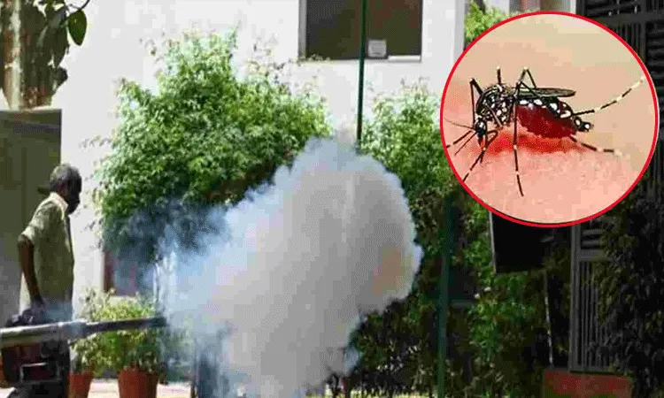 బెంగళూరు వాసుల్లో భయాందోళనలు.. 3 వారాల్లో 1000  డెంగ్యూ కేసులు బెంగళూరు వాసుల్లో భయాందోళనలు.. 3 వారాల్లో 1000  డెంగ్యూ కేసులు