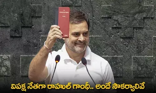 Rahul Gandhi : విపక్ష నేతగా రాహుల్ గాంధీ.. అందే సౌకర్యాలివే Rahul Gandhi : విపక్ష నేతగా రాహుల్ గాంధీ.. అందే సౌకర్యాలివే