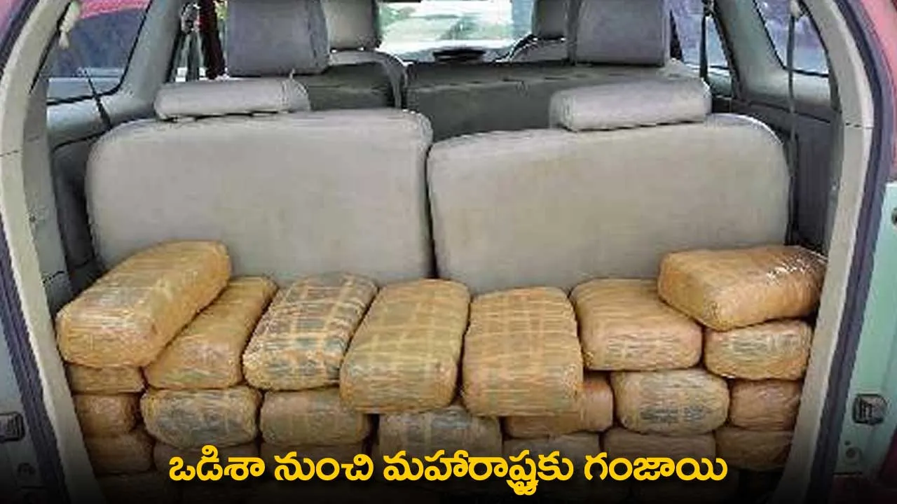 Cannabis : ఒడిశా నుంచి మహారాష్ట్రకు గంజాయి Cannabis : ఒడిశా నుంచి మహారాష్ట్రకు గంజాయి
