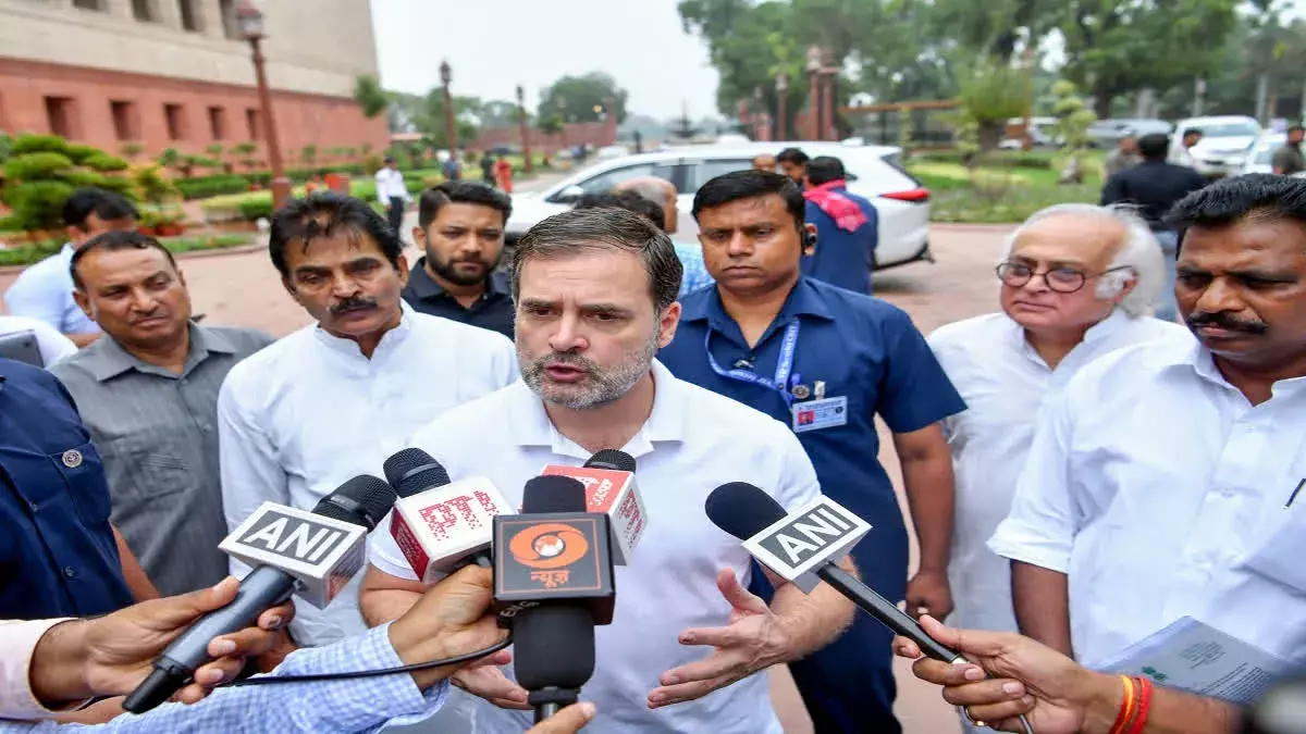Rahul Gandhi: పార్టీ శ్రేణులకు రాహుల్​ దిశానిర్దేశం
