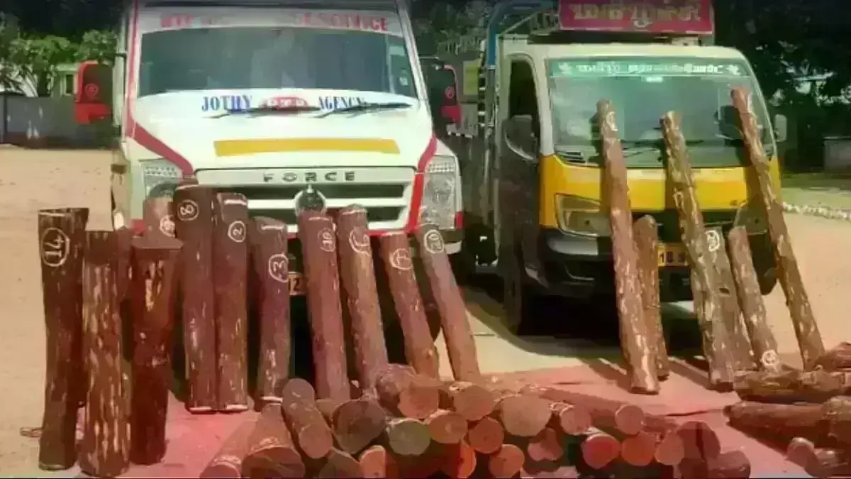Red Sandalwood: శ్రీకాళహస్తిలో ఎర్రచందనం Red Sandalwood: శ్రీకాళహస్తిలో ఎర్రచందనం