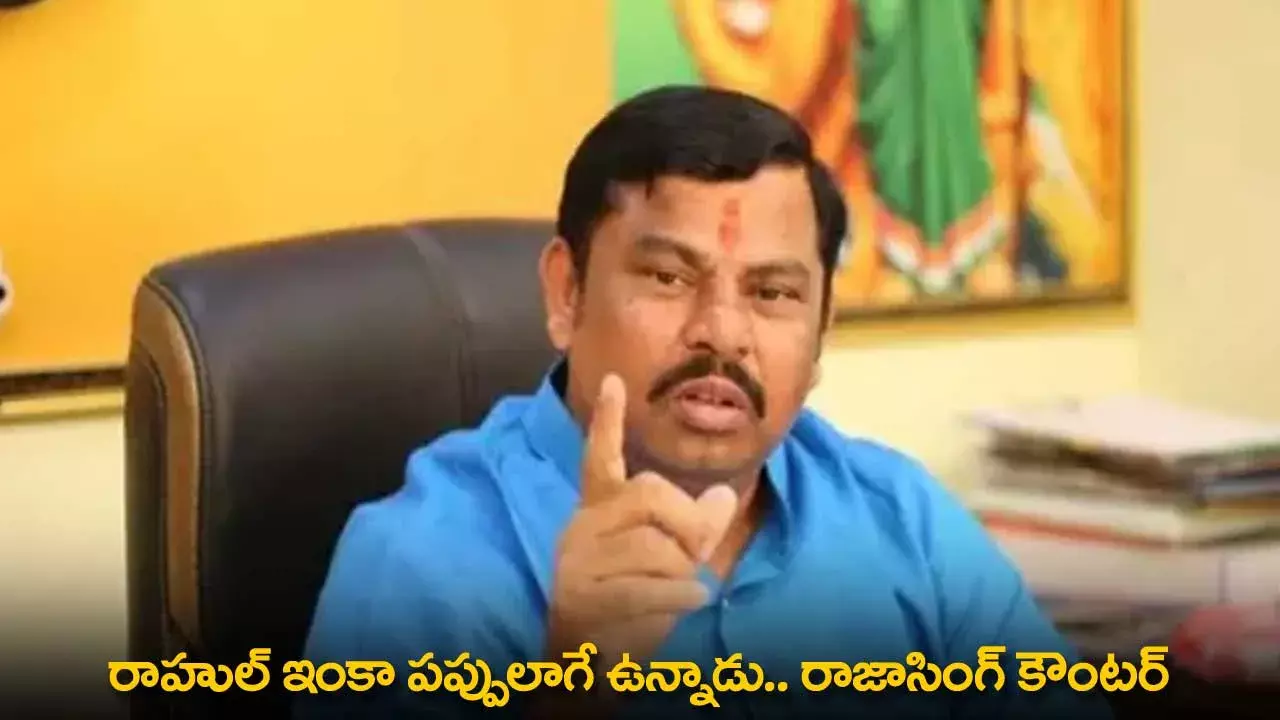 Raja Singh : రాహుల్ ఇంకా పప్పులాగే ఉన్నాడు.. రాజాసింగ్ కౌంటర్