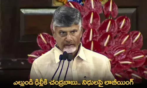 AP : ఎల్లుండి ఢిల్లీకి చంద్రబాబు.. నిధులపై లాబీయింగ్ AP : ఎల్లుండి ఢిల్లీకి చంద్రబాబు.. నిధులపై లాబీయింగ్