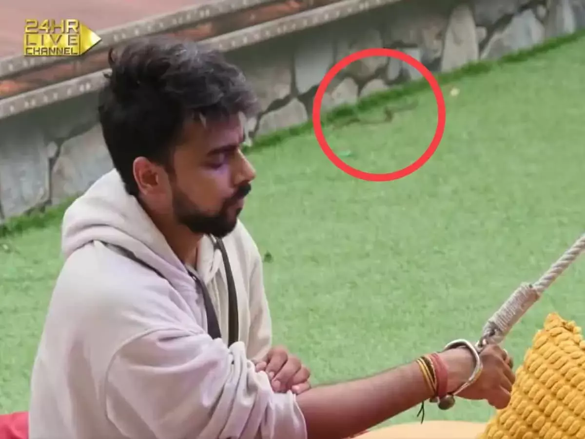 Bigg Boss OTT 3 బిగ్ బాస్ హౌజ్ లోకి పాము.. వీడియో వైరల్