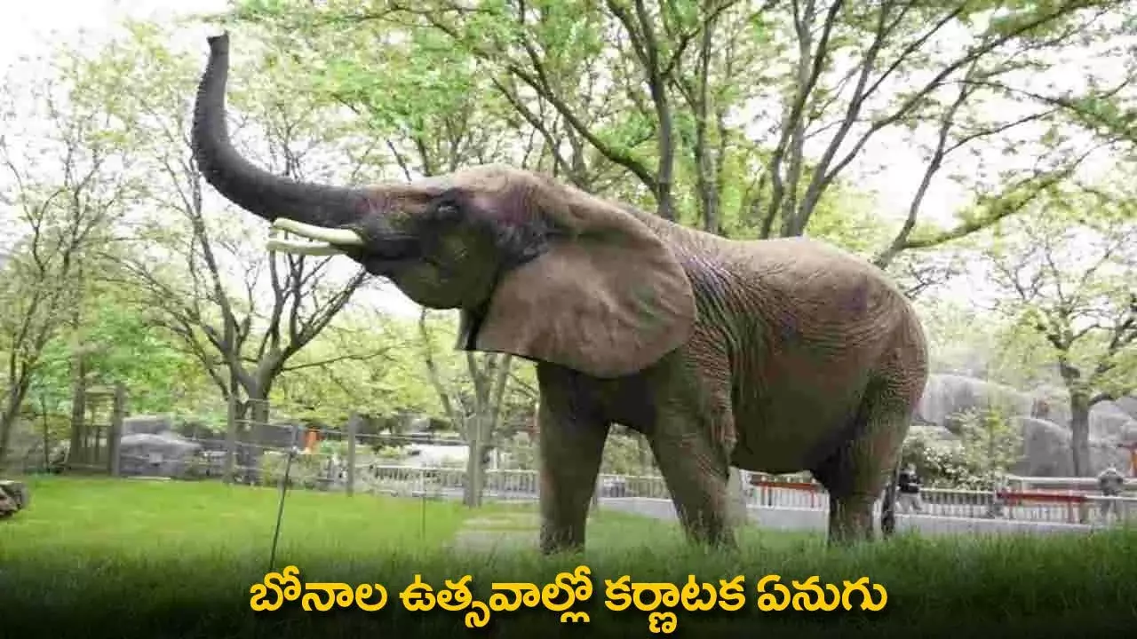 Bonalu Festival : బోనాల ఉత్సవాల్లో కర్ణాటక ఏనుగు Bonalu Festival : బోనాల ఉత్సవాల్లో కర్ణాటక ఏనుగు