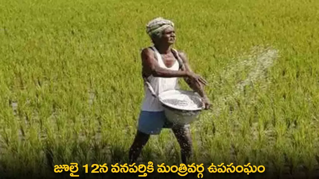 Ministerial Committee : జూలై 12న వ‌న‌ప‌ర్తికి మంత్రివ‌ర్గ ఉప‌సంఘం