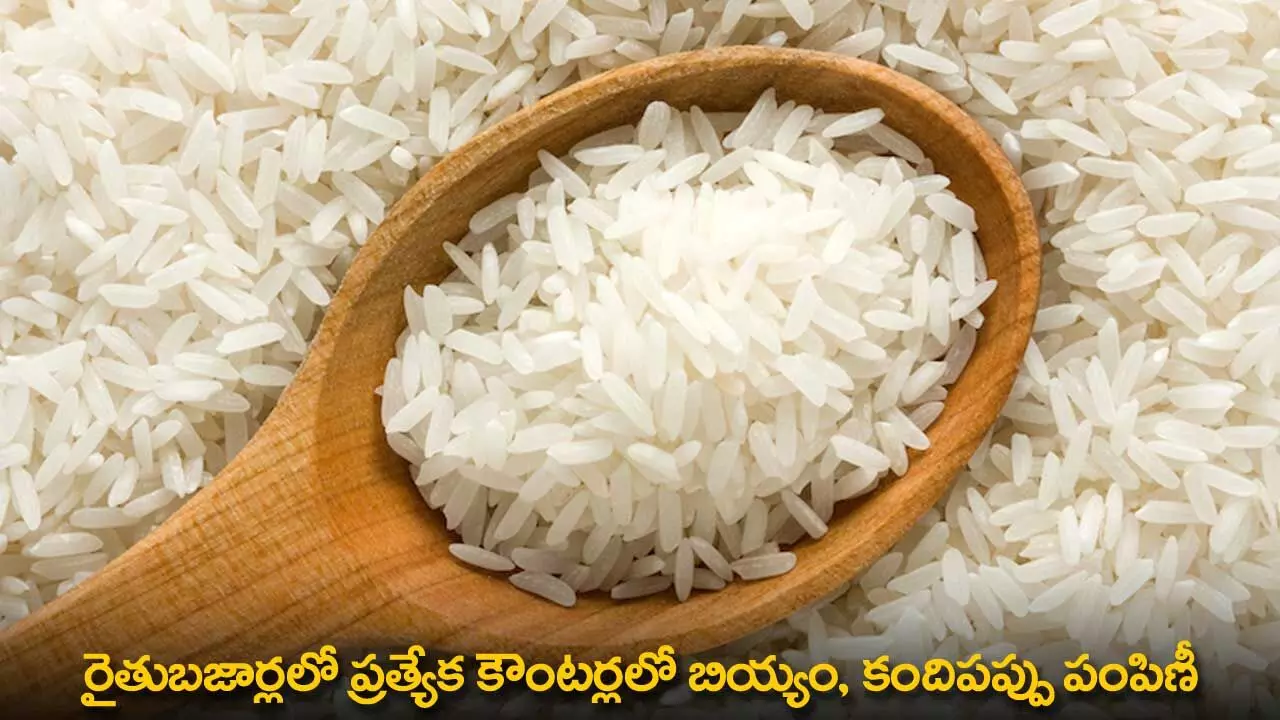 Good News : రైతుబజార్లలో ప్రత్యేక కౌంటర్లలో బియ్యం, కందిపప్పు పంపిణీ Good News : రైతుబజార్లలో ప్రత్యేక కౌంటర్లలో బియ్యం, కందిపప్పు పంపిణీ