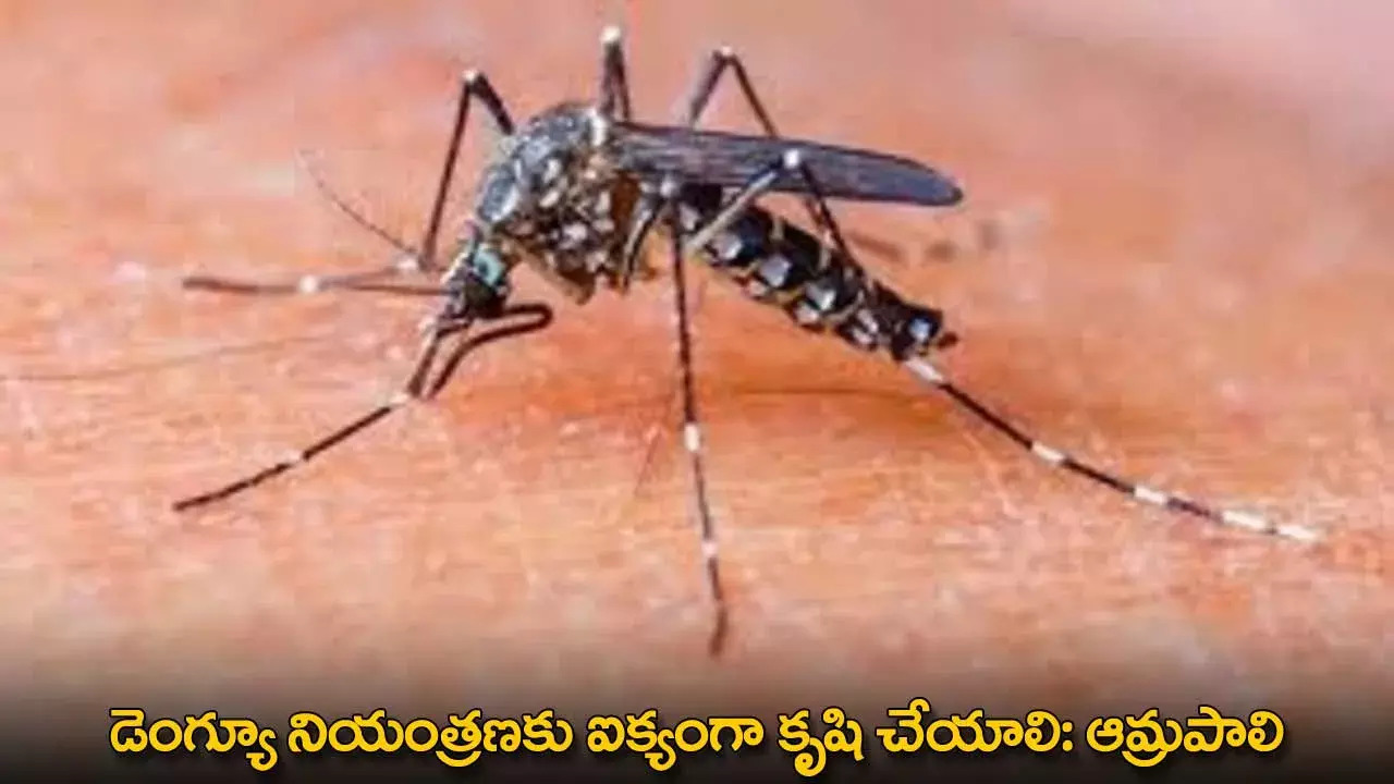 Dengue : డెంగ్యూ నియంత్రణకు ఐక్యంగా కృషి చేయాలి: ఆమ్రపాలి