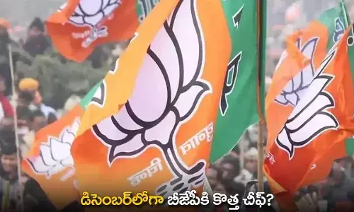 New Chief for BJP : డిసెంబర్‌లోగా బీజేపీకి కొత్త చీఫ్?