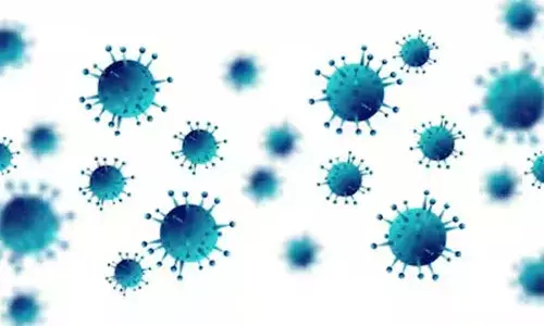 గుజరాత్లో చండీపురా వైరస్: ఆరుగురి ప్రాణాలను బలిగొన్న ప్రాణాంతక వ్యాధి గుజరాత్లో చండీపురా వైరస్: ఆరుగురి ప్రాణాలను బలిగొన్న ప్రాణాంతక వ్యాధి