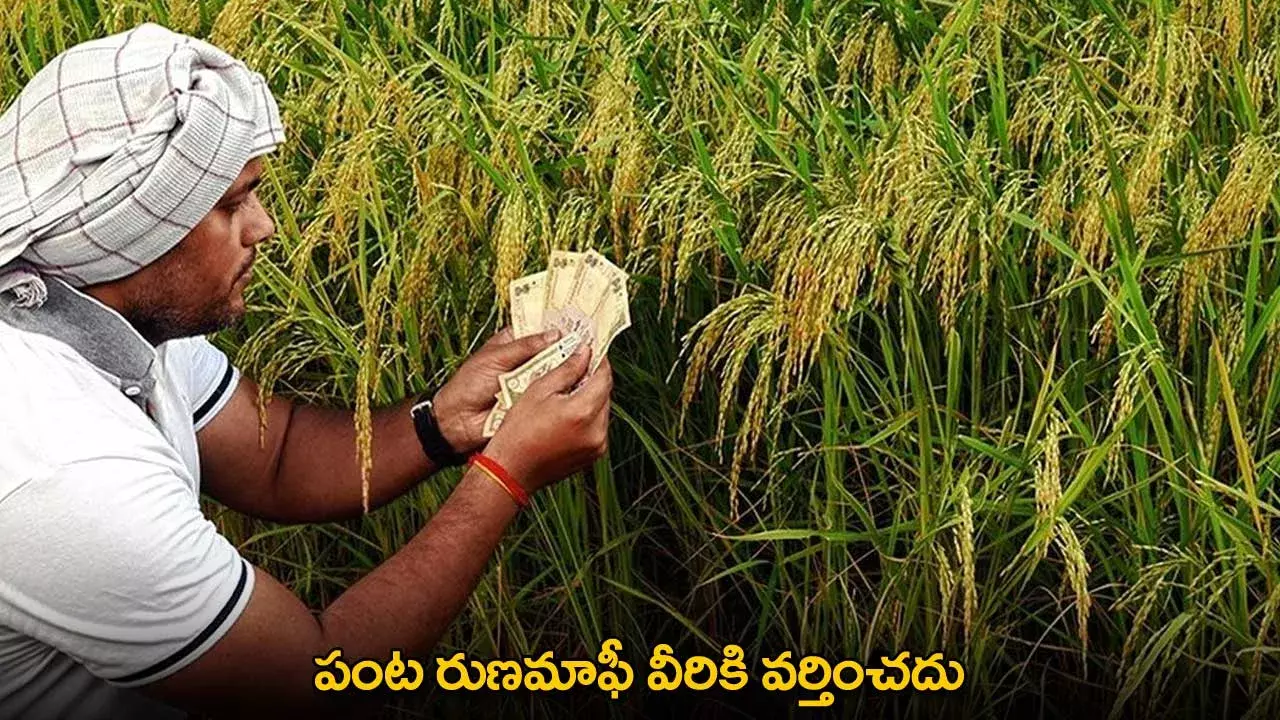 TG : పంట రుణమాఫీ వీరికి వర్తించదు TG : పంట రుణమాఫీ వీరికి వర్తించదు