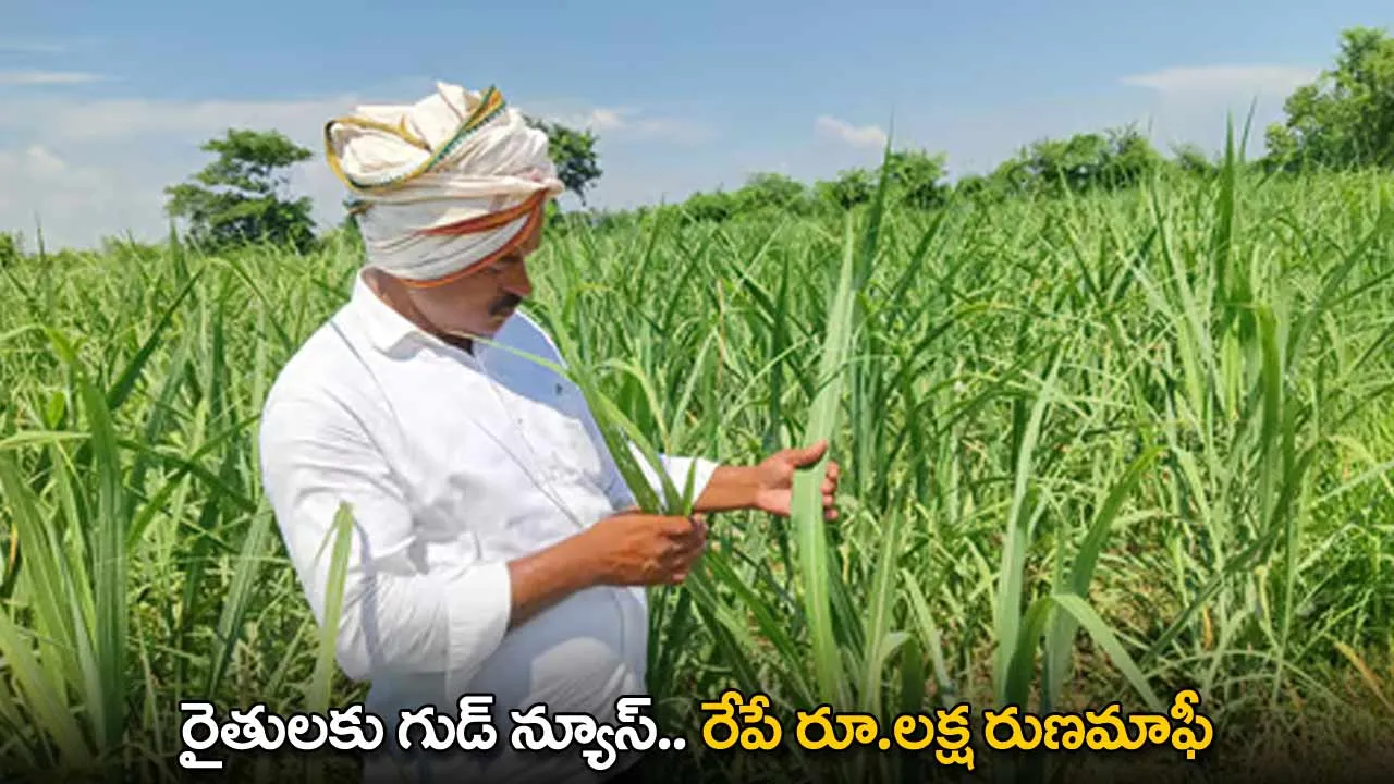 TG : రైతులకు గుడ్ న్యూస్.. రేపే రూ.లక్ష రుణమాఫీ TG : రైతులకు గుడ్ న్యూస్.. రేపే రూ.లక్ష రుణమాఫీ