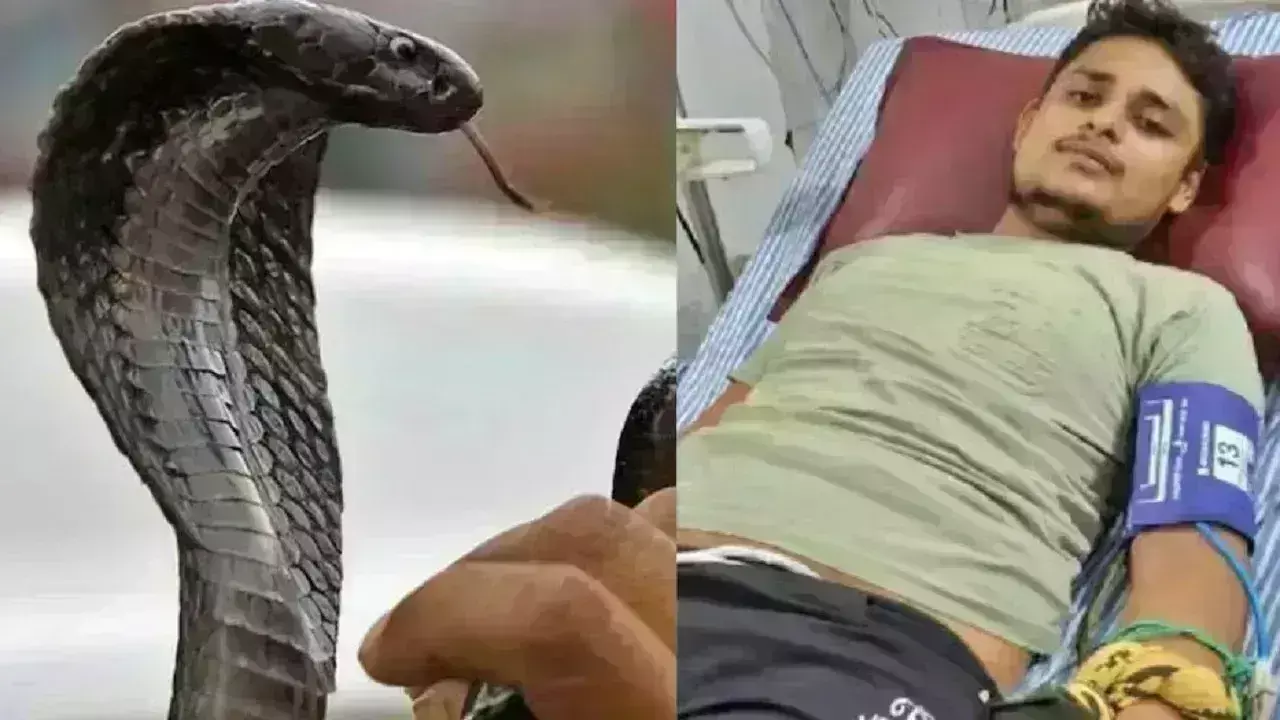 Uttarpradesh : ఏడు సార్లు కాదు ఒక్కసారే పాము కరిచింది. కానీ అతను అబద్దం చెప్పలేదు.. విషయం ఏంటంటే.. Uttarpradesh : ఏడు సార్లు కాదు ఒక్కసారే పాము కరిచింది. కానీ అతను అబద్దం చెప్పలేదు.. విషయం ఏంటంటే..